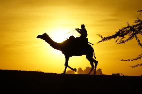 Tourists Enjoy a Camel Safari - India