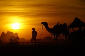 Tourists Enjoy a Camel Safari - India