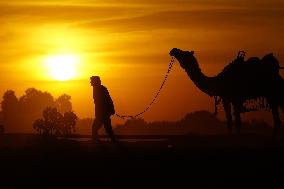 Tourists Enjoy a Camel Safari - India