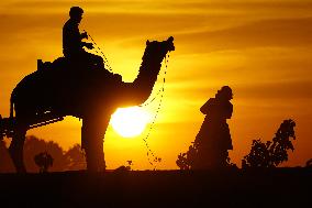 Tourists Enjoy a Camel Safari - India
