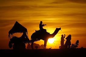 Tourists Enjoy a Camel Safari - India