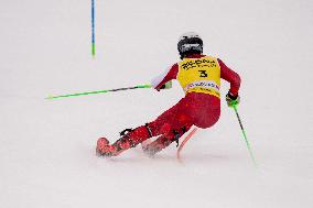 Audi FIS Ski World Cup - Men's Slalom