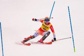 Audi FIS Ski World Cup - Men's Slalom