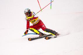 Audi FIS Ski World Cup - Men's Slalom