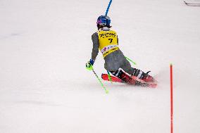 SPORT INVERNALI - Sci Alpino - 2026 Audi FIS Ski World Cup - Men's Slalom