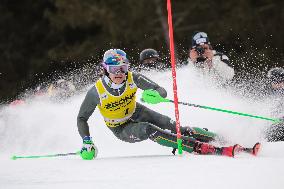 SPORT INVERNALI - Sci Alpino - 2026 Audi FIS Ski World Cup - Men's Slalom