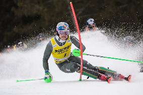 SPORT INVERNALI - Sci Alpino - 2026 Audi FIS Ski World Cup - Men's Slalom