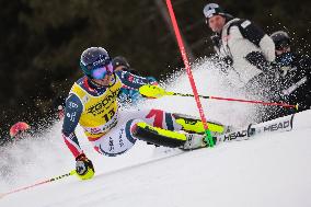 SPORT INVERNALI - Sci Alpino - 2026 Audi FIS Ski World Cup - Men's Slalom