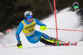 SPORT INVERNALI - Sci Alpino - 2026 Audi FIS Ski World Cup - Men's Slalom