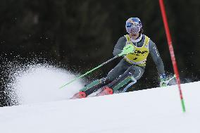 SPORT INVERNALI - Sci Alpino - 2026 Audi FIS Ski World Cup - Men's Slalom