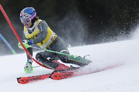SPORT INVERNALI - Sci Alpino - 2026 Audi FIS Ski World Cup - Men's Slalom