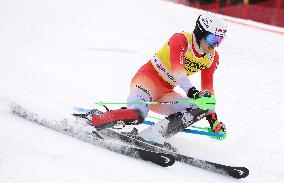 SPORT INVERNALI - Sci Alpino - 2026 Audi FIS Ski World Cup - Men's Slalom