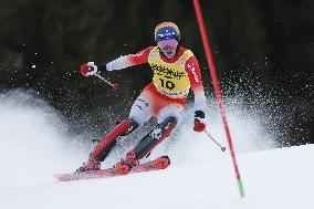 SPORT INVERNALI - Sci Alpino - 2026 Audi FIS Ski World Cup - Men's Slalom