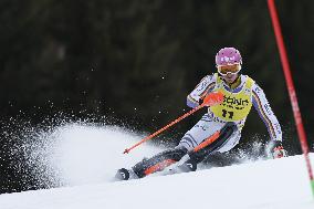 SPORT INVERNALI - Sci Alpino - 2026 Audi FIS Ski World Cup - Men's Slalom