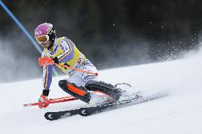 SPORT INVERNALI - Sci Alpino - 2026 Audi FIS Ski World Cup - Men's Slalom