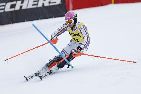 SPORT INVERNALI - Sci Alpino - 2026 Audi FIS Ski World Cup - Men's Slalom
