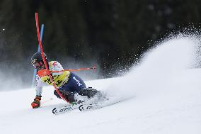 SPORT INVERNALI - Sci Alpino - 2026 Audi FIS Ski World Cup - Men's Slalom