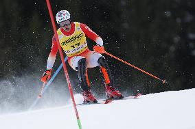 SPORT INVERNALI - Sci Alpino - 2026 Audi FIS Ski World Cup - Men's Slalom