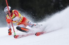 SPORT INVERNALI - Sci Alpino - 2026 Audi FIS Ski World Cup - Men's Slalom