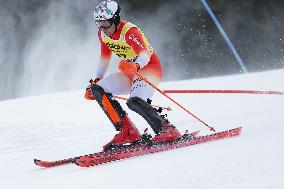 SPORT INVERNALI - Sci Alpino - 2026 Audi FIS Ski World Cup - Men's Slalom