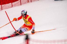 Audi FIS Ski World Cup - Men's Slalom