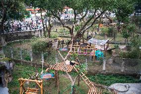 Giant Panda Exhibit Renovation - Chongqing