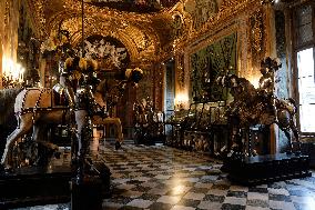 Visit to Galleria Beaumont and Royal Museums - Turin