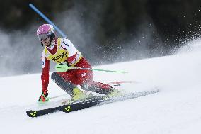 SPORT INVERNALI - Sci Alpino - 2026 Audi FIS Ski World Cup - Men's Slalom