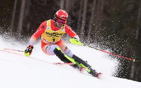 SPORT INVERNALI - Sci Alpino - 2026 Audi FIS Ski World Cup - Men's Slalom