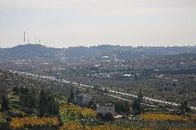 New Israeli Outpost Near Hebron - Palestine
