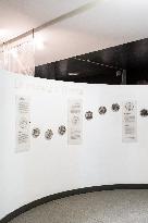 Medal Cabinet Reopens After Six-Year Hiatus - Rome