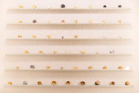 Medal Cabinet Reopens After Six-Year Hiatus - Rome