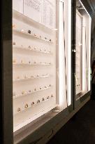 Medal Cabinet Reopens After Six-Year Hiatus - Rome