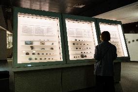 Medal Cabinet Reopens After Six-Year Hiatus - Rome