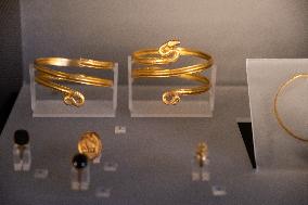 Medal Cabinet Reopens After Six-Year Hiatus - Rome