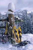 Illustration - Beaufortain - Beaufort Region - France