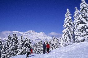 Illustration - Beaufortain - Beaufort Region - France