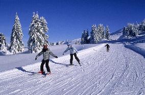 Illustration - Beaufortain - Beaufort Region - France