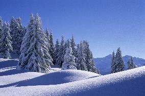 Illustration - Beaufortain - Beaufort Region - France