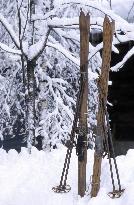 Illustration - Beaufortain - Beaufort Region - France