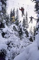 Illustration - Beaufortain - Beaufort Region - France