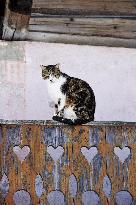 Illustration - Beaufortain - Beaufort Region - France