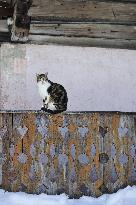 Illustration - Beaufortain - Beaufort Region - France