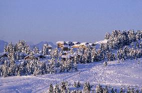 Illustration - Beaufortain - Beaufort Region - France