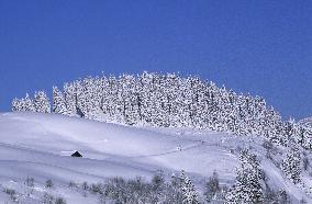 Illustration - Beaufortain - Beaufort Region - France