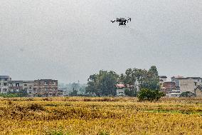 Intelligent Agriculture