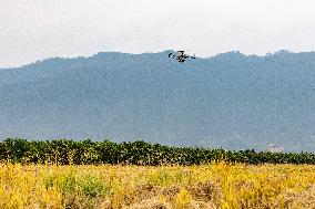 Intelligent Agriculture