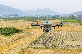 Intelligent Agriculture