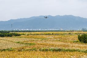 Intelligent Agriculture