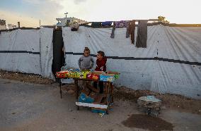 Humanitarian Crisis - Gaza